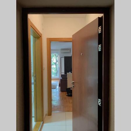 Renovated Cozy Studio 7 At Top Location - Available For Long Term Rentals نوفي ساد المظهر الخارجي الصورة