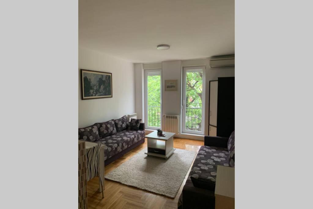 Renovated Cozy Studio 7 At Top Location - Available For Long Term Rentals نوفي ساد المظهر الخارجي الصورة