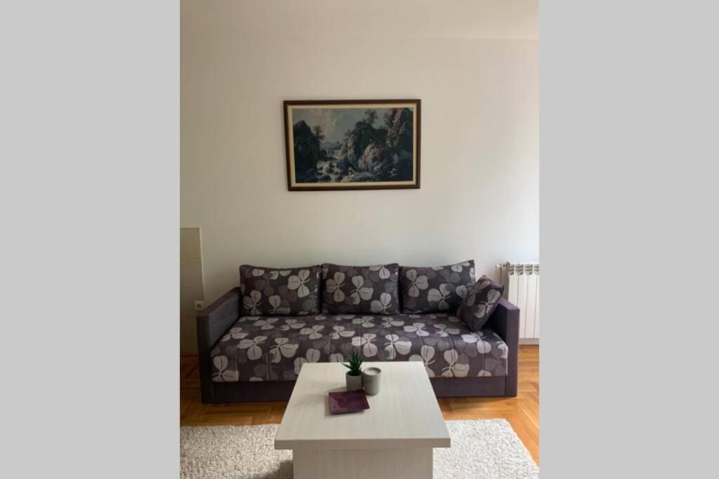 Renovated Cozy Studio 7 At Top Location - Available For Long Term Rentals نوفي ساد المظهر الخارجي الصورة